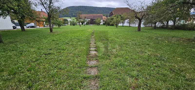 Land in Val Terbi — photo 5