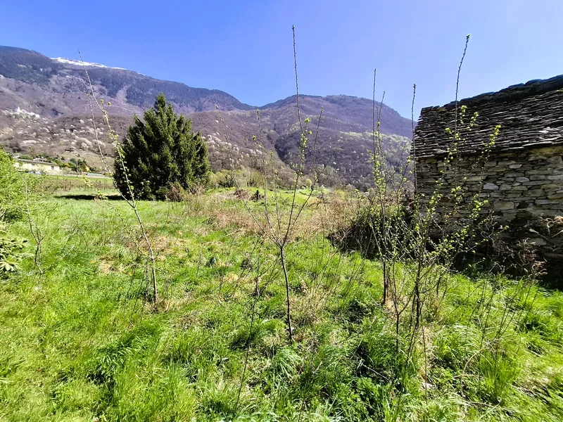 Terrain à Claro — photo 2