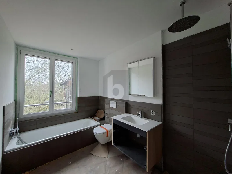 Wohnung 4.5 Zimmer in Maschwanden — photo 5