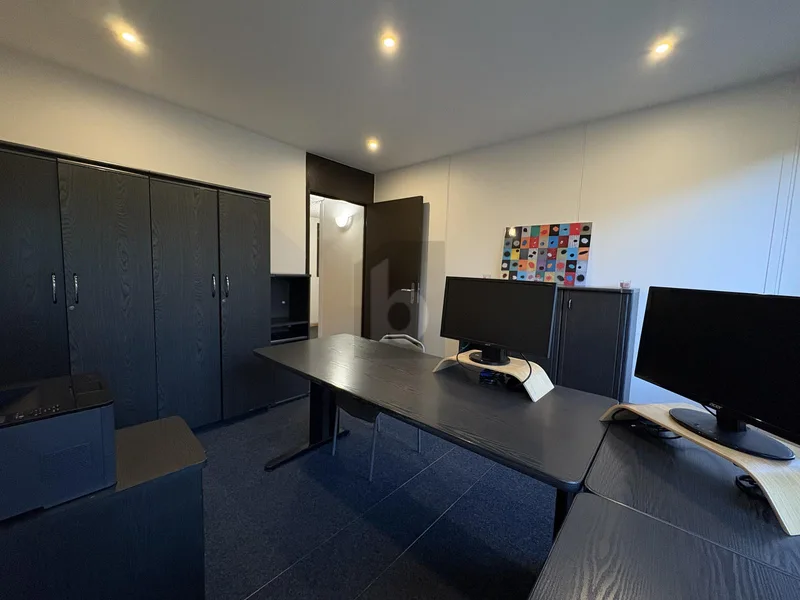 Gewerbe 1 Zimmer in Carouge