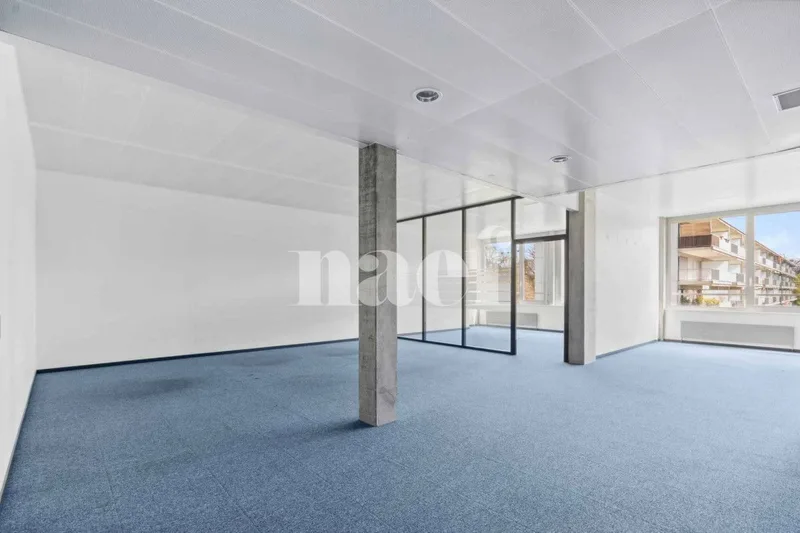 Gewerbe 5 Zimmer in Nyon — 3