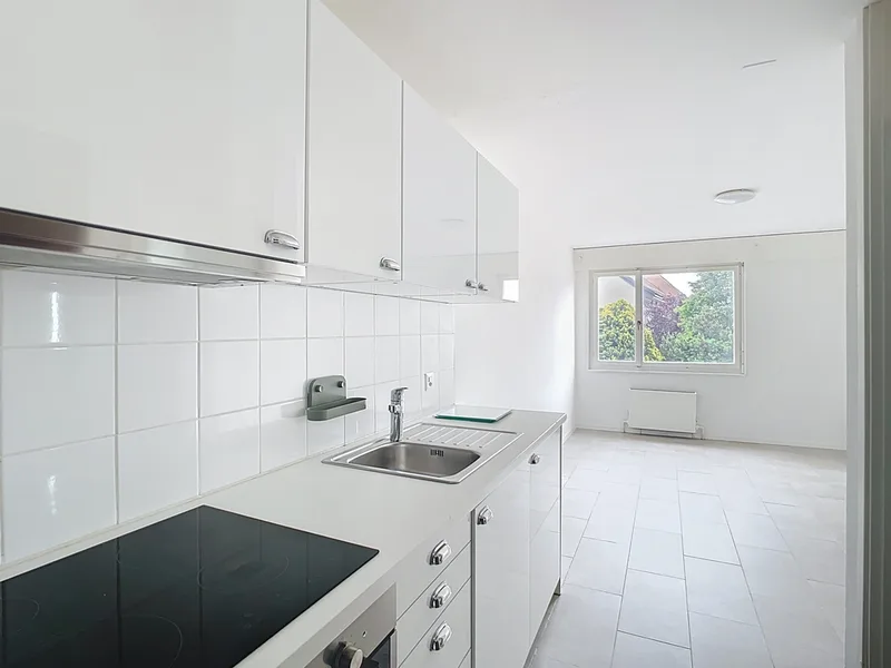 Wohnung 1 Zimmer in Le Centre — photo 2