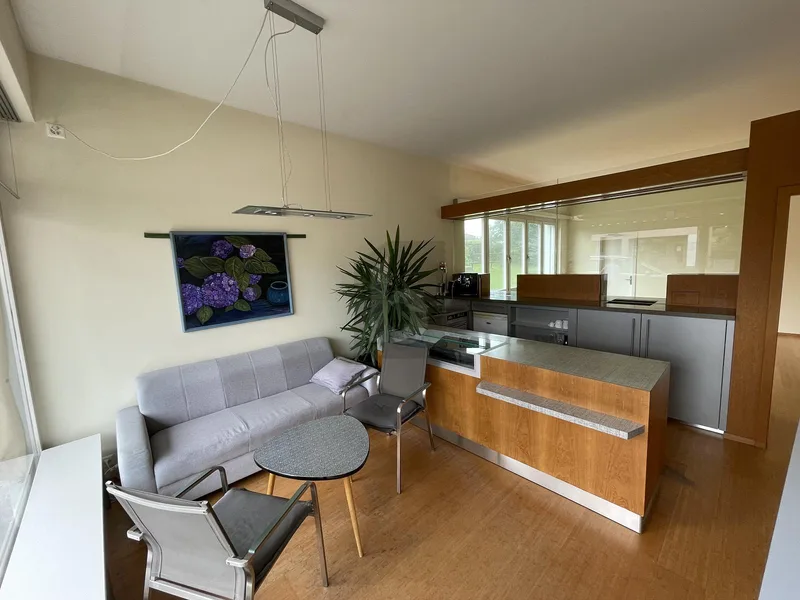 Gewerbe 2 Zimmer in Egnach