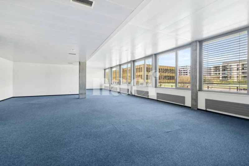 Gewerbe 5 Zimmer in Nyon — 4