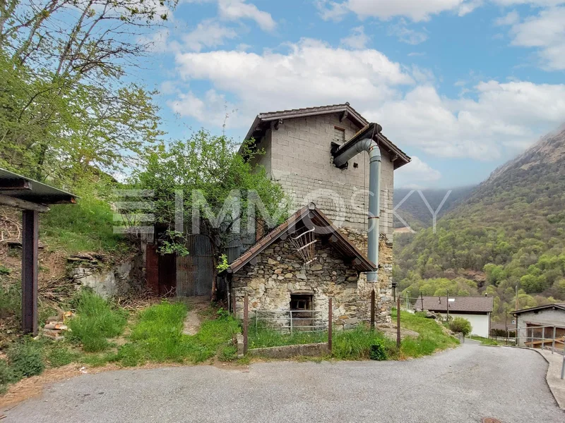 House / Villa in Bellinzona district