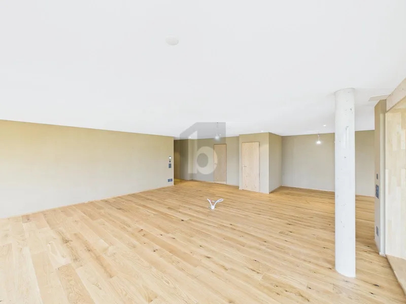 Gewerbe 2 Zimmer in Sankt Margrethen — photo 3