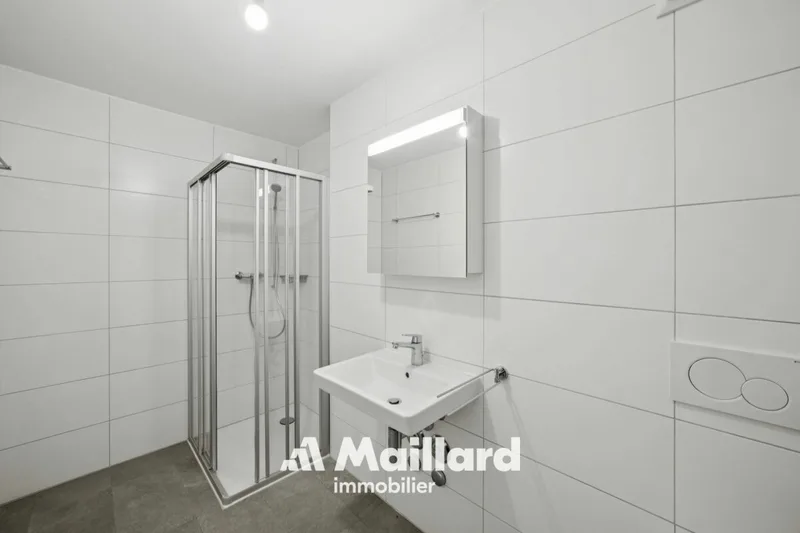 Wohnung 4.5 Zimmer in Treyvaux — photo 5