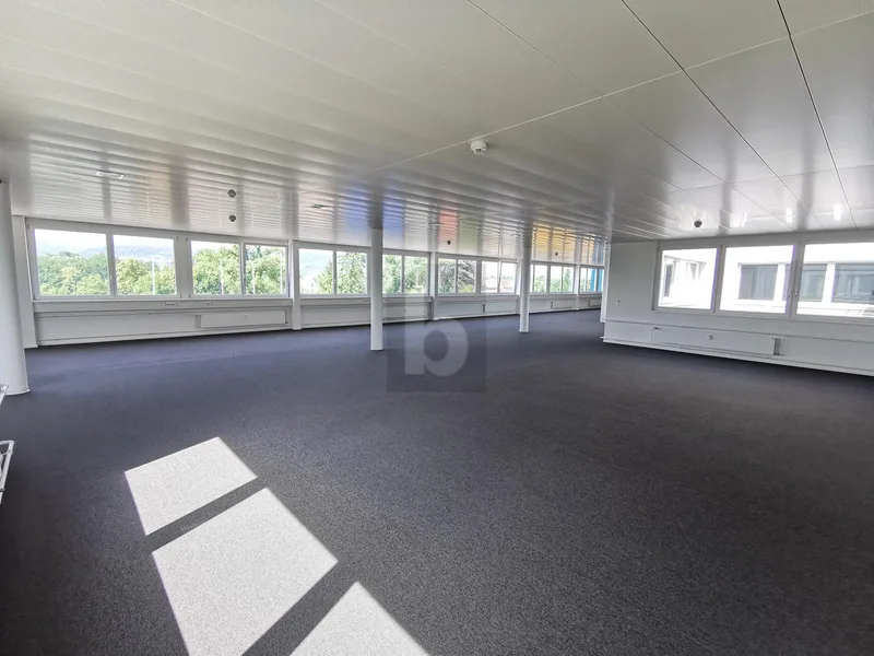 Commercial 1 rooms in Pratteln