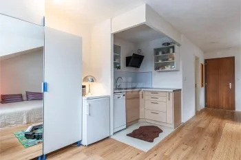 Wohnung 1.5 Zimmer in Vionnaz — photo 5