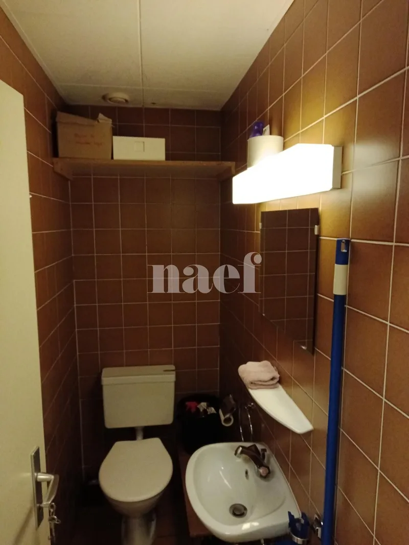 Gewerbe in Genève — photo 6