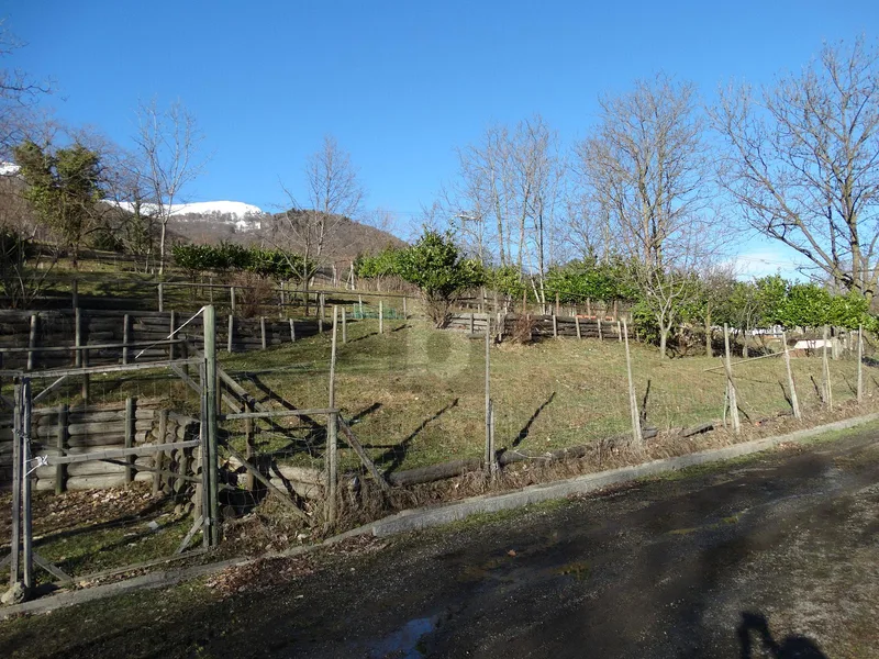 Land in Miglieglia