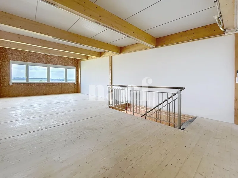 Commercial in Orbe — photo 3