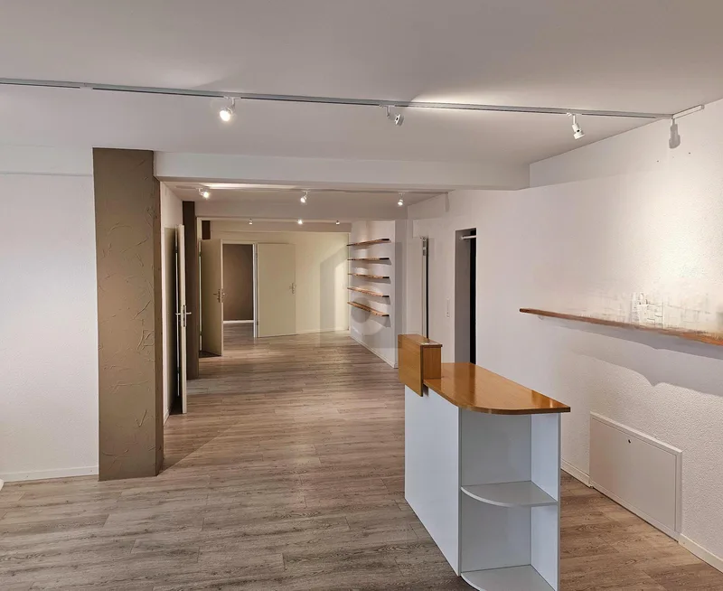 Gewerbe 6 Zimmer in Neuchâtel