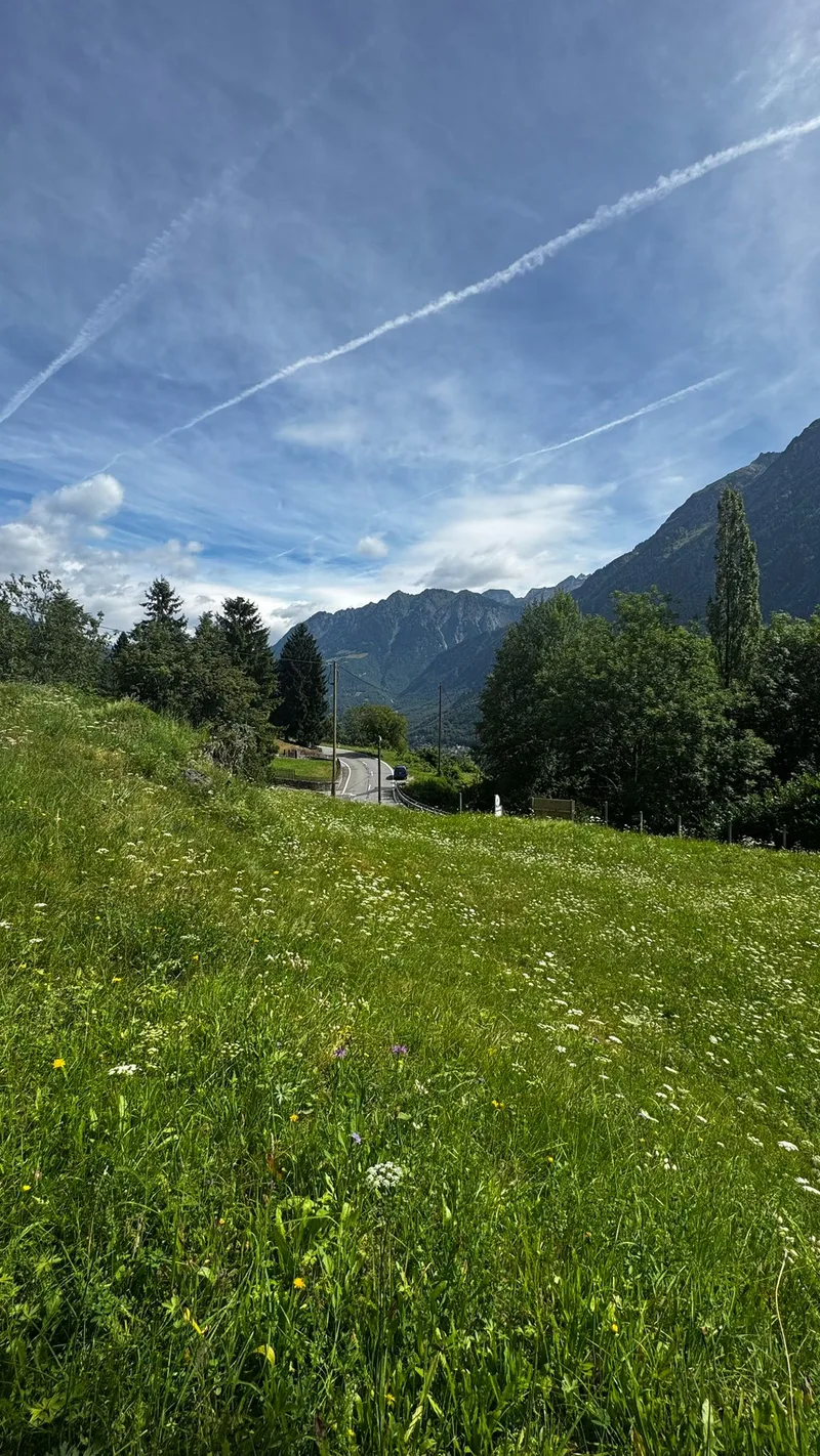 Terrain 5.5 pièces à Val di Blenio — photo 2