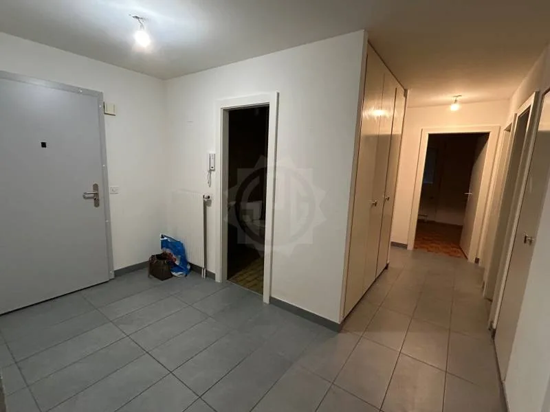 Appartement 4.5 pièces à Lavey-Morcles — photo 5