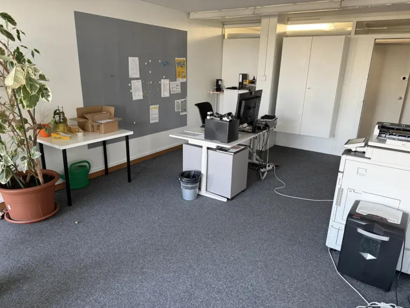 Gewerbe in Crissier
