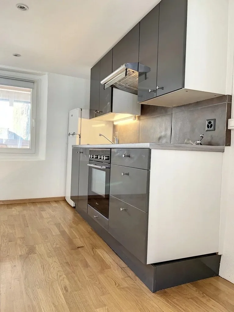 Appartement 1.5 pièces à Bourg-aux-Favres — photo 3