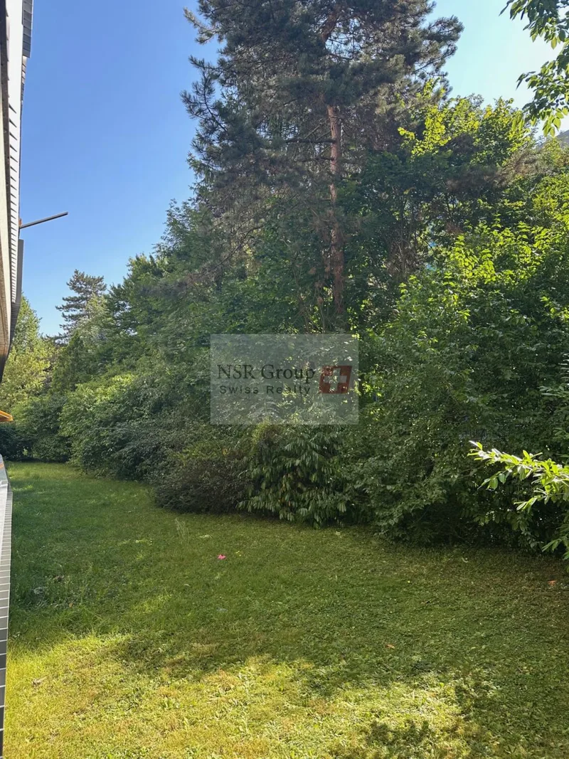 Appartement 1 pièces à Florissant - Malagnou — 6