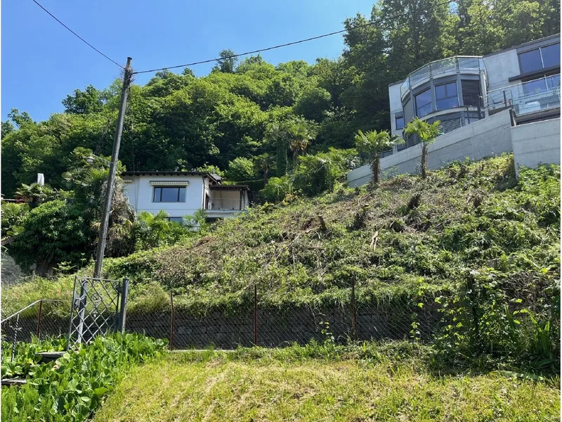 Terrain à Gambarogno — photo 2