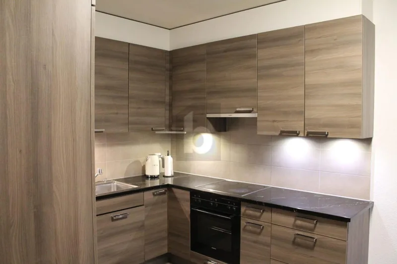 Wohnung 6.5 Zimmer in Petit-Lancy — photo 3