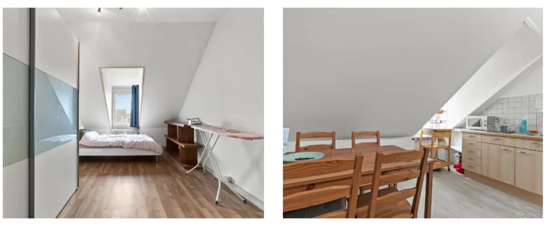 House / Villa 30 rooms in Basel — 10