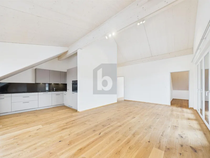 Apartment 4.5 rooms in Amriswil — 2
