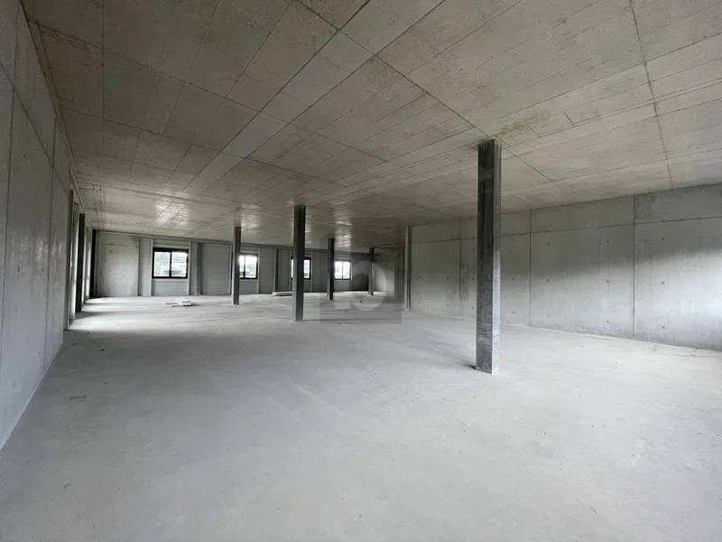 Commercial 1 rooms in Oberbüren — 5