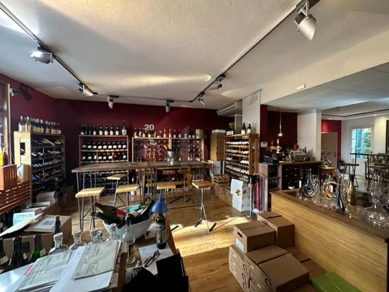 Commercial 2 rooms in Carouge — 2