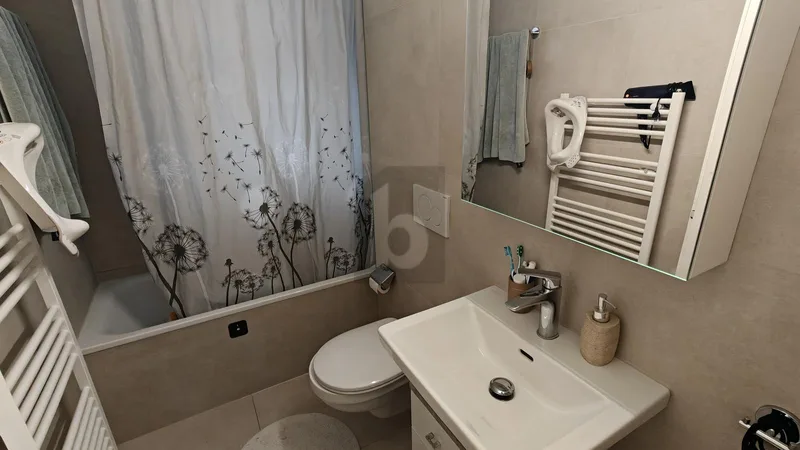 Wohnung 4.5 Zimmer in Pratteln — photo 4