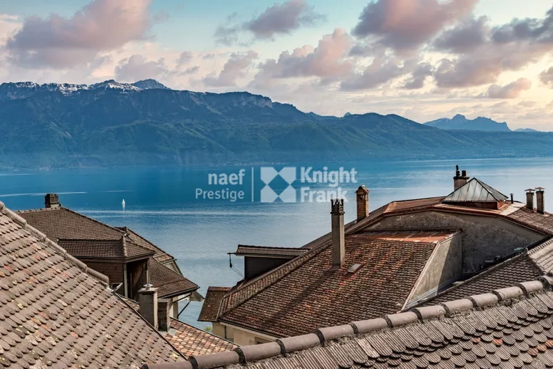 Haus / Villa 9.5 Zimmer in Bourg-en-Lavaux — 2