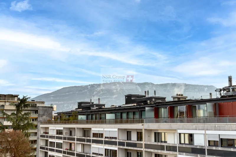 Appartement 5 pièces à Malagnou — 4