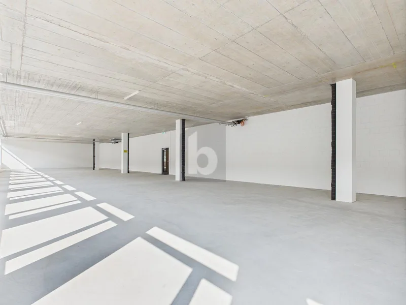 Gewerbe 1 Zimmer in Sarnen — photo 4
