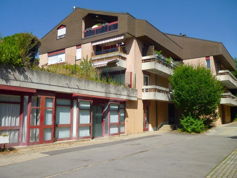 Gewerbe 3.5 Zimmer in Savigny