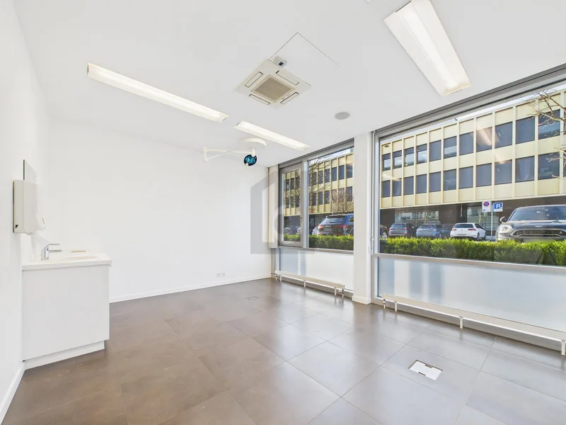 Gewerbe 7 Zimmer in Nyon — photo 2