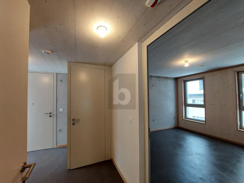 Wohnung 2.5 Zimmer in Göschenen — photo 4