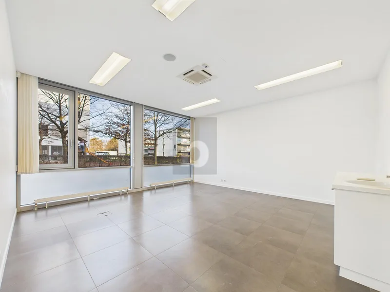 Gewerbe 7 Zimmer in Nyon — photo 5