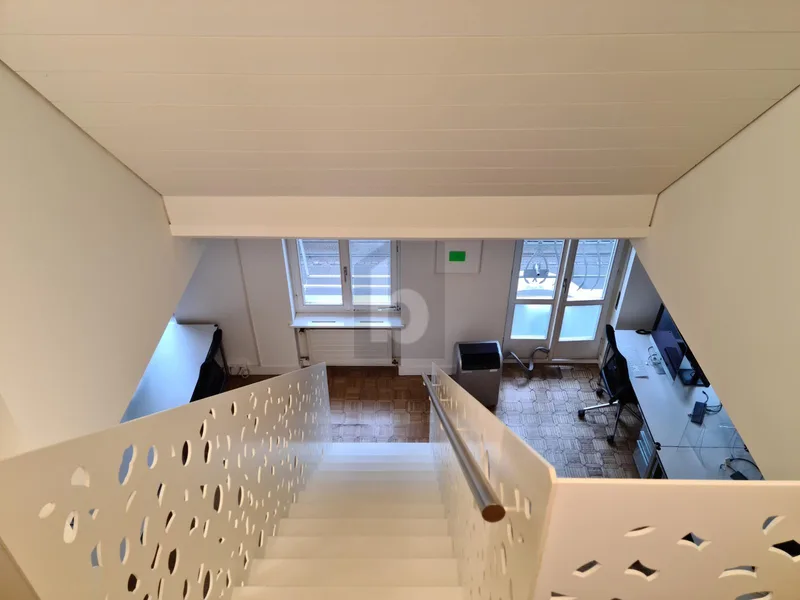 Gewerbe 15 Zimmer in Basel — photo 4
