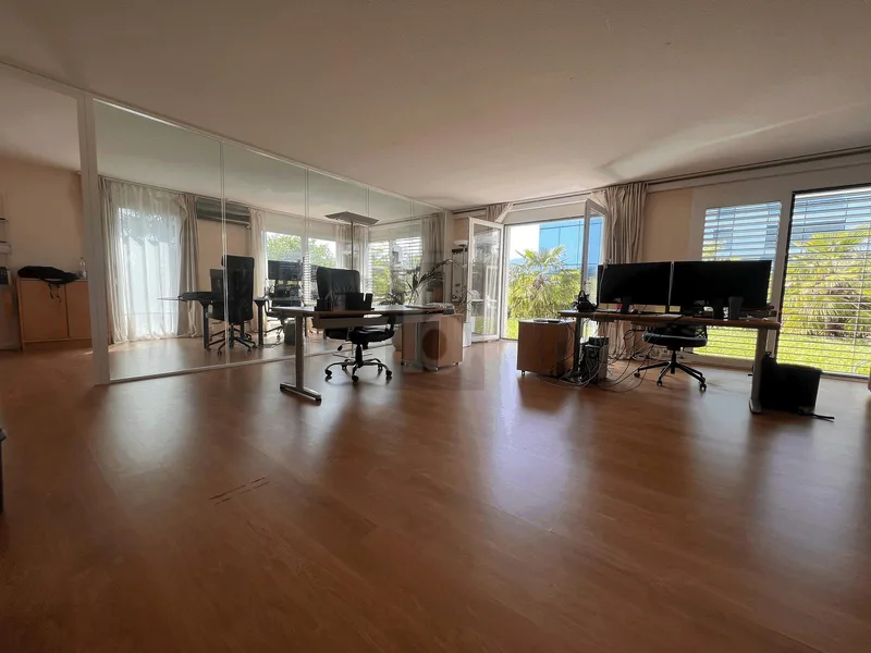 Gewerbe 1 Zimmer in Nyon — photo 4