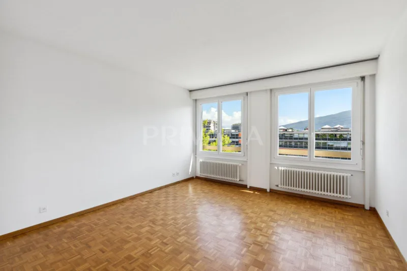 Appartement 6 pièces à Florissant - Malagnou — 4