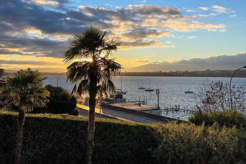 Maison / Villa 15 pièces à Cologny — 12