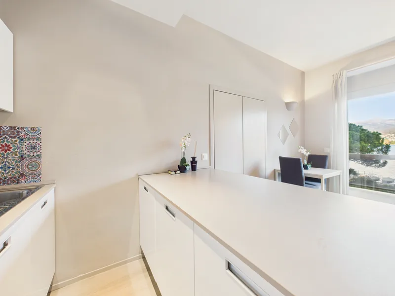 Appartement 1.5 pièces à Paradiso — 6