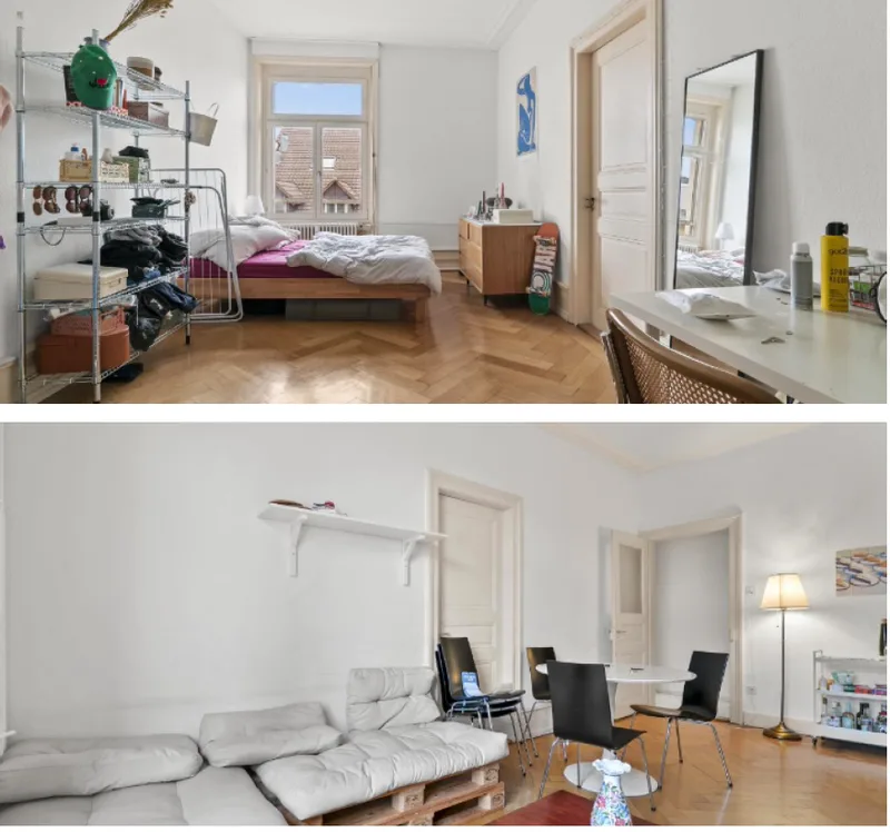 House / Villa 30 rooms in Basel — 8
