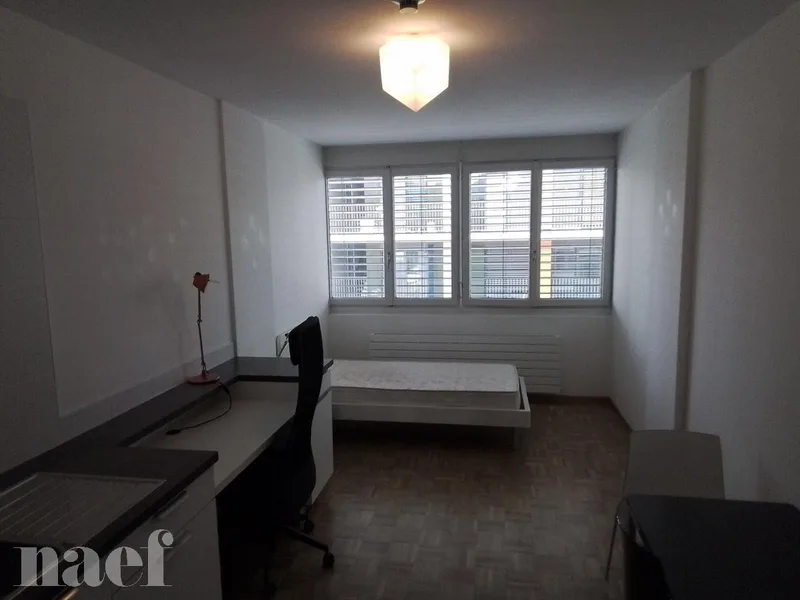 Wohnung 1 Zimmer in Genève