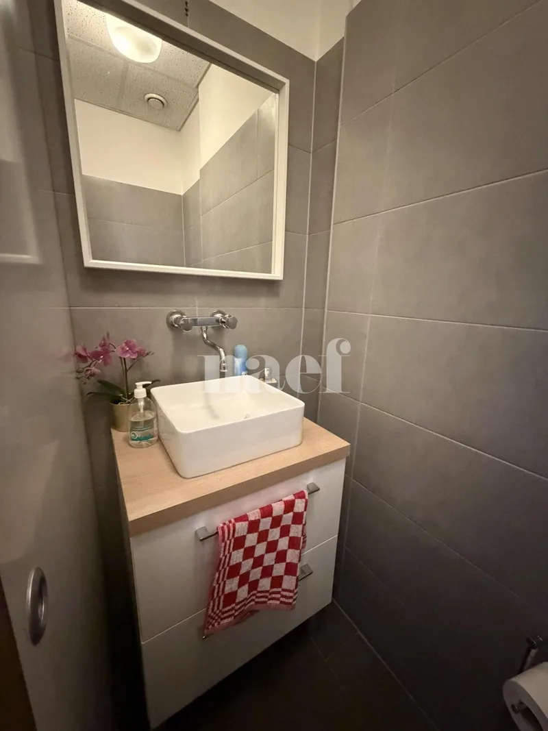 Commercial in Carouge — 8
