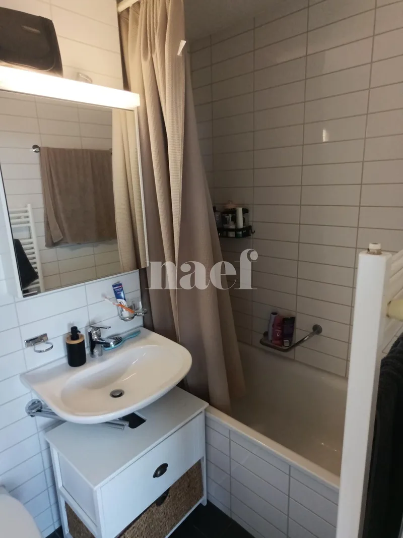 Apartment 1 rooms in Neuchâtel — 4