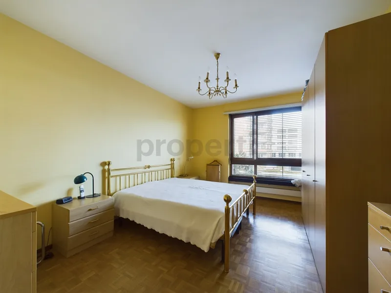 Appartement 3.5 pièces à Paradiso — 4