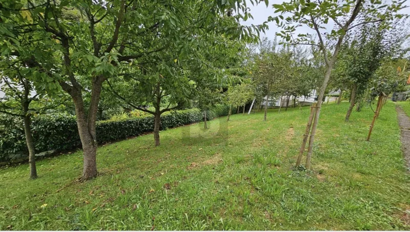 Maison / Villa 6.5 pièces à Hofstetten-Flüh — photo 5