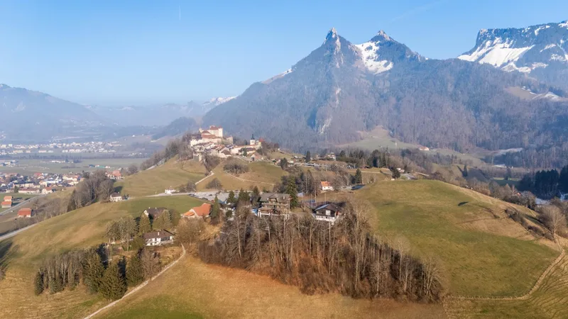Commercial 66 pièces à Gruyères — photo 17