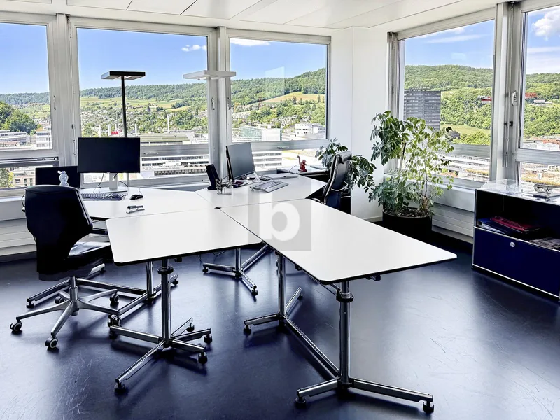 Gewerbe 1 Zimmer in Baden