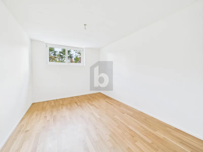 Apartment 5.5 rooms in Pratteln — 5
